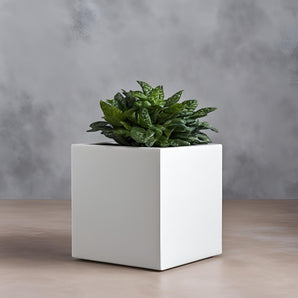 Minimalistischer würfelförmiger Blumentopf für Pflanzen