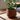 Moderner GeoBloom Pflanztopf mit geometrischem Design