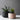 Minimalistisk rund plantepotte i moderne design