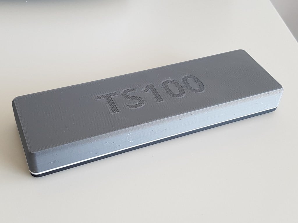 TS100-Tasche