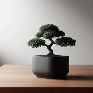 Moderne quadratische Vase für Bonsai und Dekoration