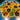 Catan Bausteine Set