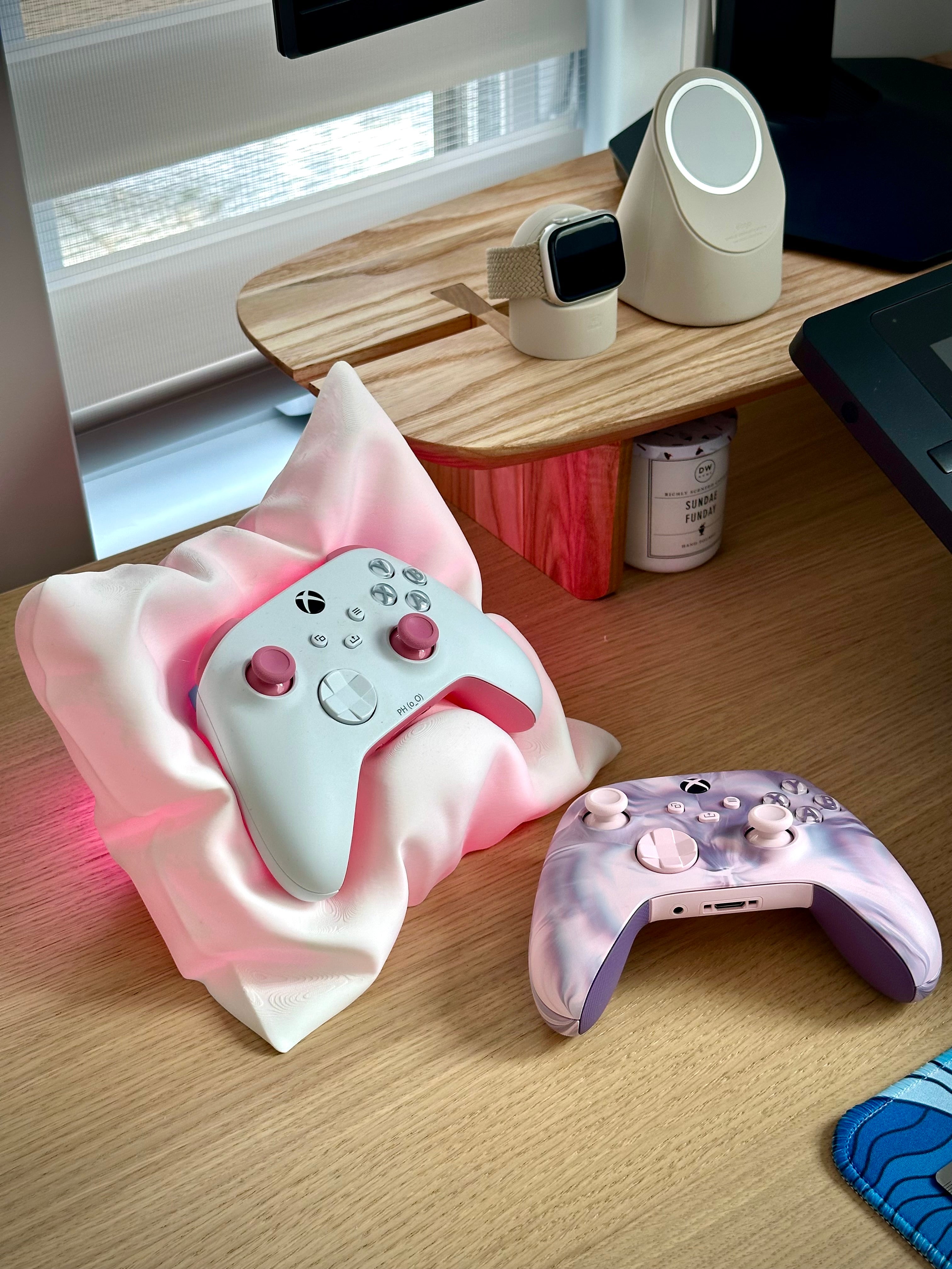 Xbox- und Switch Pro-Controller-Kissen