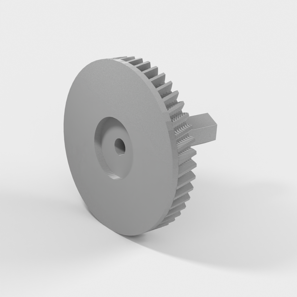 My 3D Model