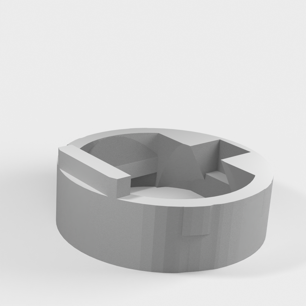 My 3D Model