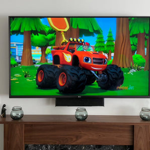LG TV Center-Lautsprecherhalterung