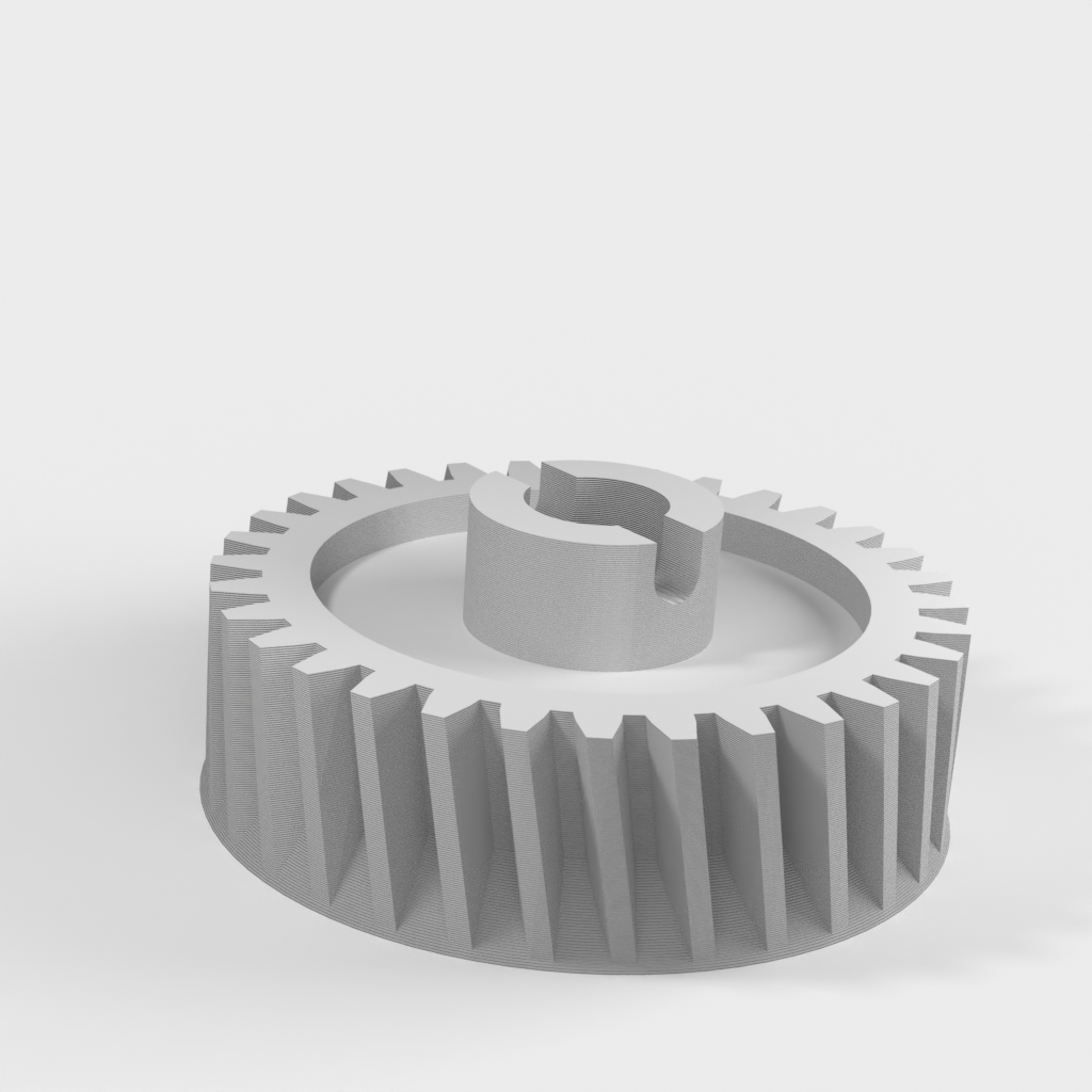 My 3D Model