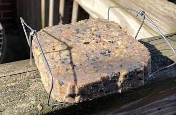 Eichhörnchensicherer Talghalter / Vogelfutterspender