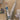 Philips Sonicare Wandhalterung