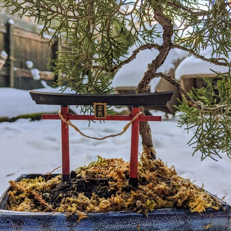 Inari Torii Tor für Bonsai
