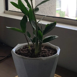 Einfacher Blumentopf