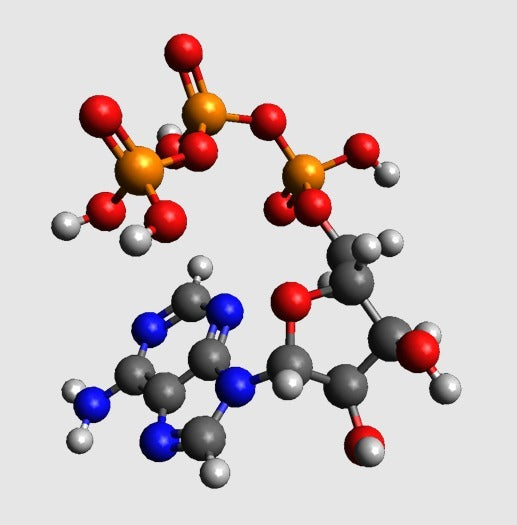 Molekulares Modell – ATP (Adenintriphosphat) – Modell im Atommaßstab