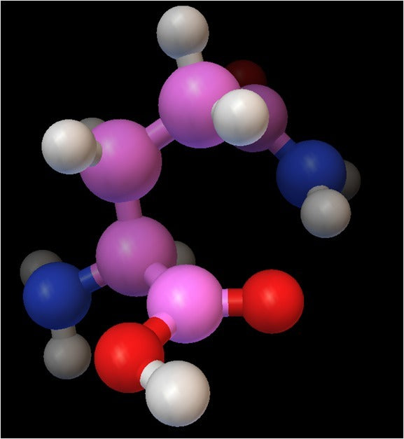 Molekulares Modell – Glutamin – Modell im Atommaßstab